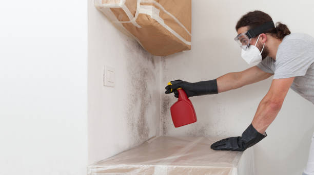 Professional Crawl Space Mold Remediation technician working in Cedar Grove, NJ