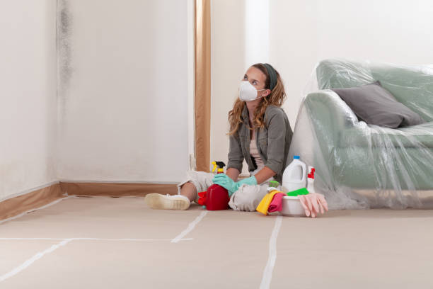 Reliable Crawl Space Mold Remediation contractor in Cedar Grove, NJ by 24 Hour Mold Removal